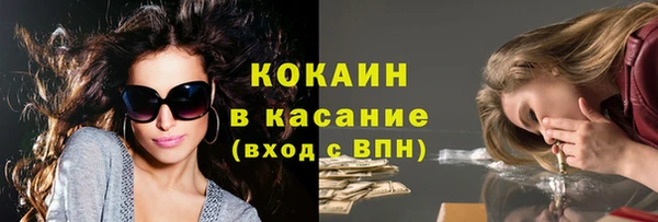 крисы Верея