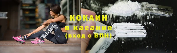 крисы Верея