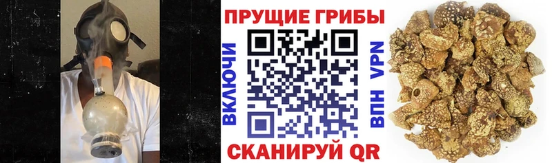 Галлюциногенные грибы Magic Shrooms  кракен рабочий сайт  маркетплейс состав  где продают   Екатеринбург 